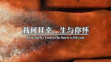 快讯!崔君同志全票当选禹州市人民法院院长